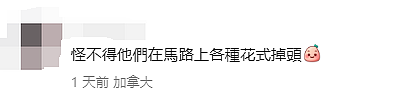 离谱！“印度老哥“考驾照作弊，华人妹子愤怒举报！ 全网叫好： 严防马路杀手（组图） - 9