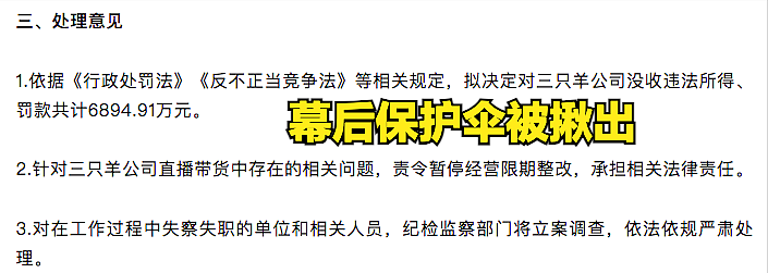 三只羊调查结果出炉，罚没6894万，幕后保护伞揪出，卢总录音系AI合成（组图） - 7