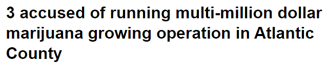 市价高达数百万美元！3华人外州小镇大规模“非法种草”，遭逮捕控罪（组图） - 1
