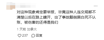 离谱！“印度老哥“考驾照作弊，华人妹子愤怒举报！ 全网叫好： 严防马路杀手（组图） - 4