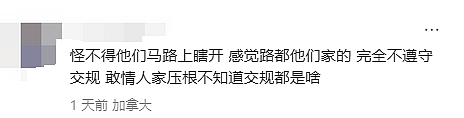 离谱！“印度老哥“考驾照作弊，华人妹子愤怒举报！ 全网叫好： 严防马路杀手（组图） - 8