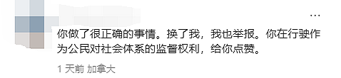 离谱！“印度老哥“考驾照作弊，华人妹子愤怒举报！ 全网叫好： 严防马路杀手（组图） - 11