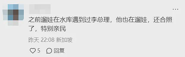 新加坡前总理李显龙退休生活曝光：和夫人逛商场、带孙女进游乐场（组图） - 11