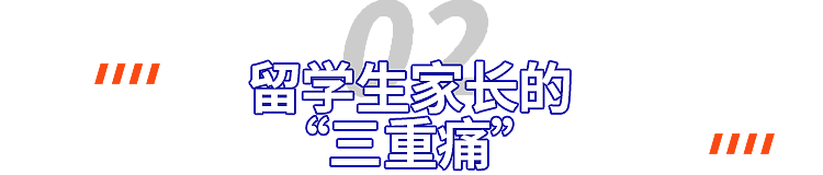 中国留子的“割裂人生”：网上背爱马仕追特朗普小儿子，现实买不起一杯奶茶（组图） - 8