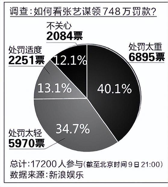 事实证明，12年前举报张艺谋“超生”的何珺，已经走上了另一条路（组图） - 10