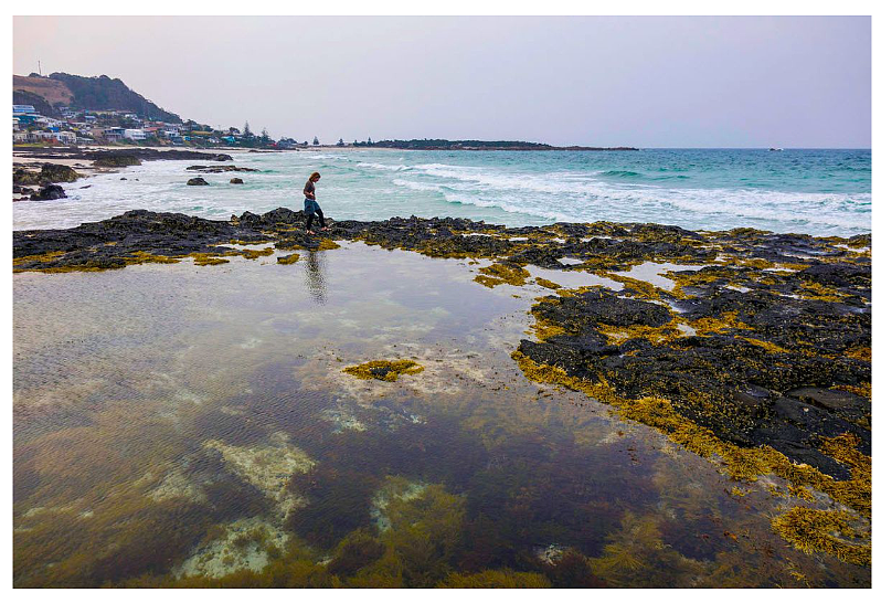 澳航罢工致今晨航班混乱；Henley Beach商铺再遭纵火；4年房价翻倍的9大郊区揭晓！（组图） - 15