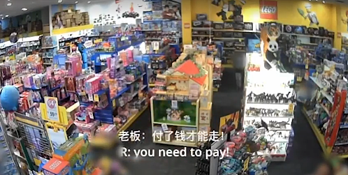 求放过！新西兰华人商店屡遭“零元购”，店员诉苦：轻则辱骂，重则动手（组图） - 7