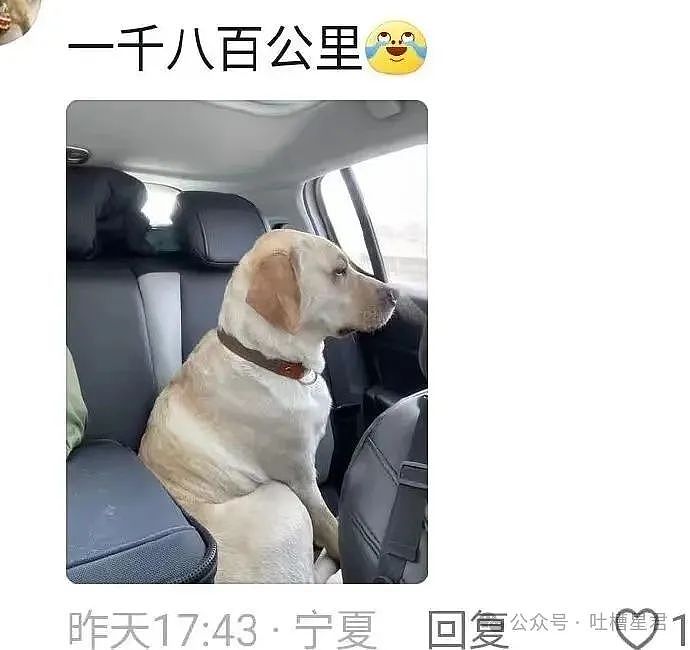 【爆笑】“关于把脚塞进手镯里这件事！”网友：看到最后我破防了..（组图） - 84