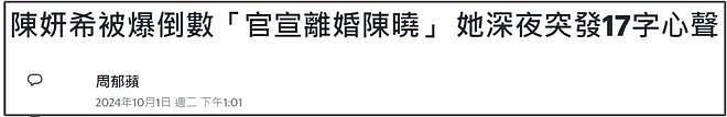 陈妍希、杨丞琳都表态了！同为安徽媳妇，两个人婚姻状态差太多（组图） - 8