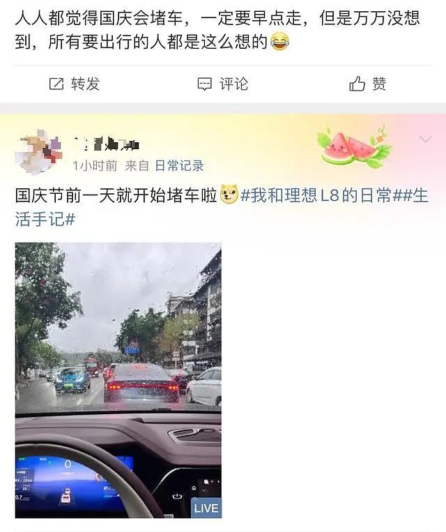 高速堵成“红锅”，网友：路上全是聪明人！有人崩溃：3公里开了40分钟（组图） - 14