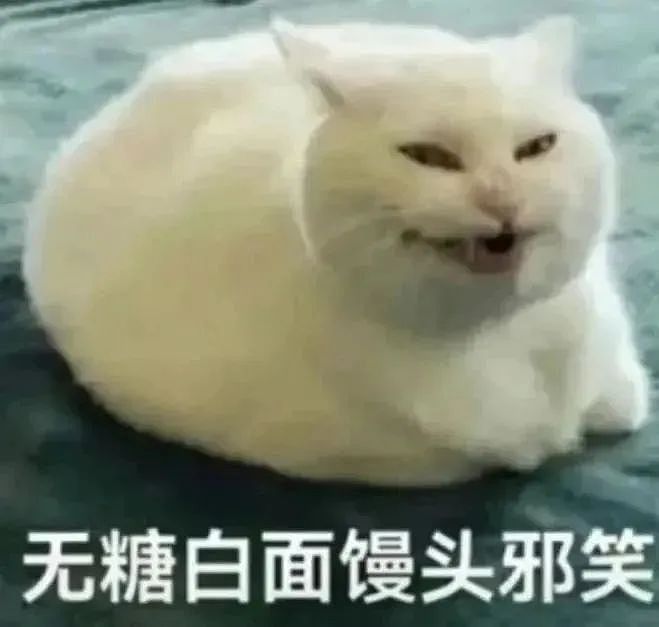 【宠物】小猫拉屎，刚冒尖就被狗狗扯出来叼走！主人直接气晕，网友笑疯：骑手秒取餐啊（组图） - 20