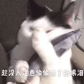 【宠物】小猫拉屎，刚冒尖就被狗狗扯出来叼走！主人直接气晕，网友笑疯：骑手秒取餐啊（组图） - 11