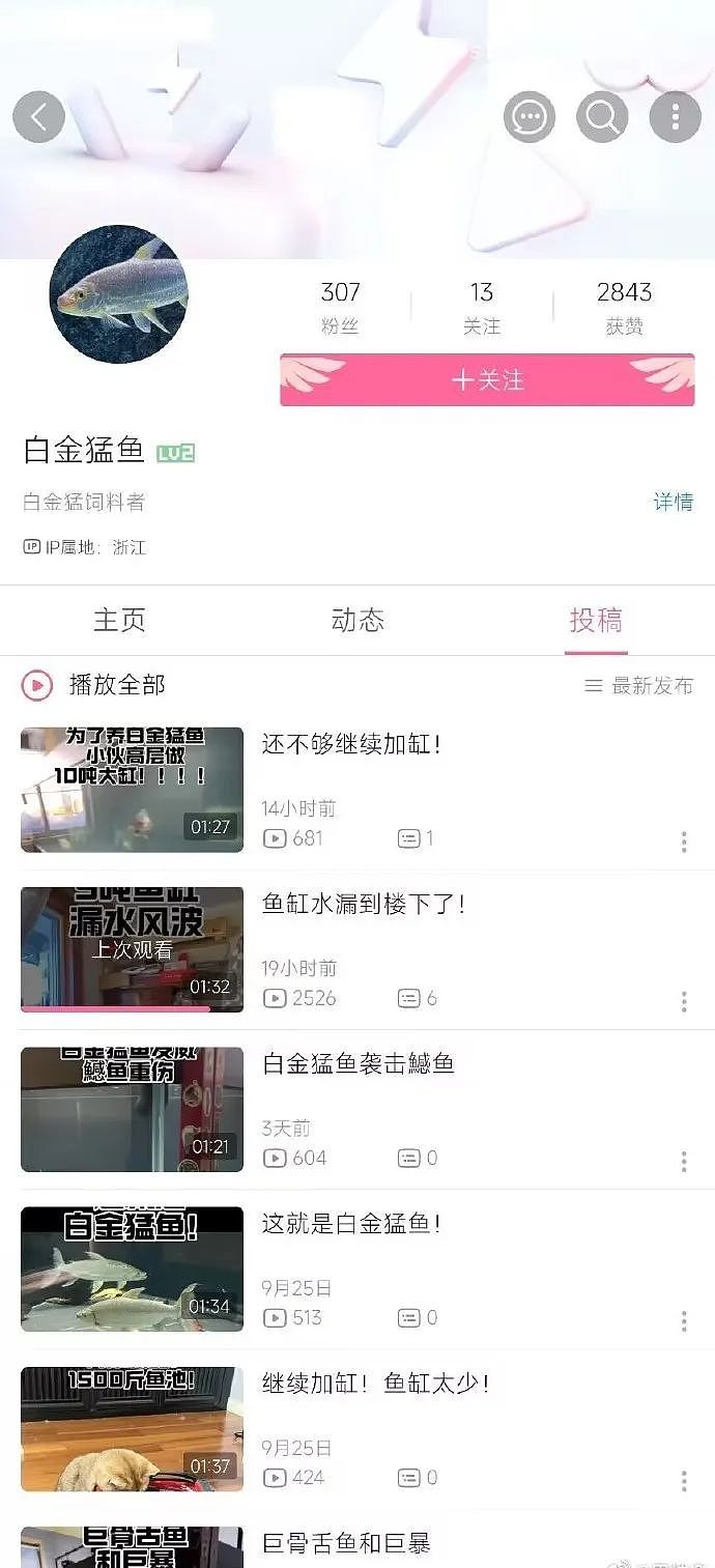 网友吓呆！男子自称把5吨鱼缸放在90年代老小区高层，漏水漏到楼下，老奶奶吓的睡不着...（组图） - 3