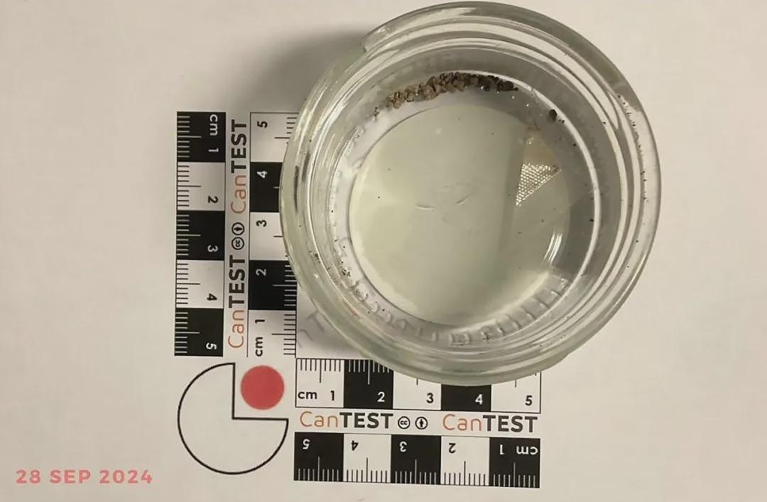 首次！堪培拉检测出“阿片类药物”，药物检测服务或将永久化；难民纳入澳洲签证正式立法，中国人却遭疯狂拒签（组图） - 1