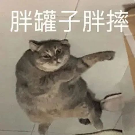 【宠物】小猫拉屎，刚冒尖就被狗狗扯出来叼走！主人直接气晕，网友笑疯：骑手秒取餐啊（组图） - 1