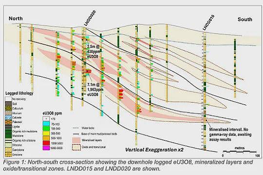 莱因哈特持股Liontown Resources（ASX：LTR）“晋级”锂生产商，首批精矿发往中国 - 15