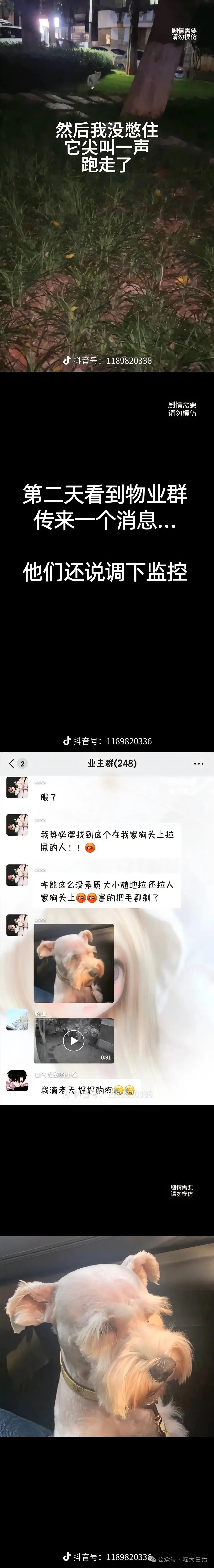 【爆笑】“70岁奶奶和对象玩冷暴力？”哈哈哈哈哈被网友评论笑稀了（组图） - 92