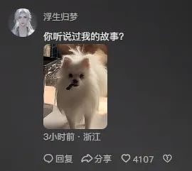 【宠物】小猫拉屎，刚冒尖就被狗狗扯出来叼走！主人直接气晕，网友笑疯：骑手秒取餐啊（组图） - 15