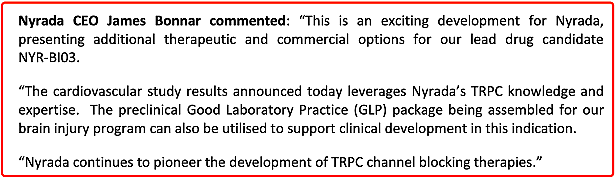 【异动股】Nyrada (ASX：NYR) 暴涨62%：心血管损伤候选药NYR-BI03可实现86%心脏保护 - 4