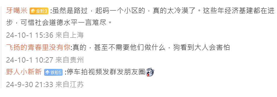 广西男童当街遭狗扑咬1分钟画面曝！多车路过竟见死不救（视频/组图） - 7