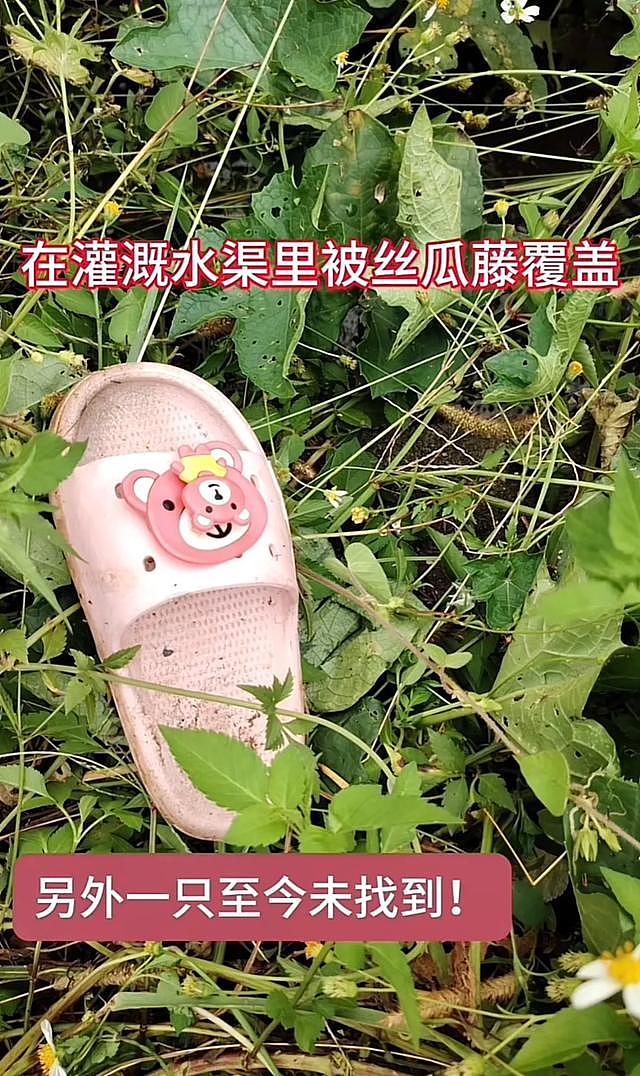 湖南9岁女童身亡：全身赤裸在河里发现，当时妈妈在打牌自己回家（组图） - 11