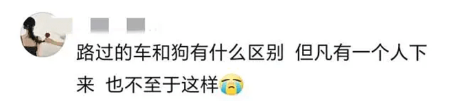 广西男童当街遭狗扑咬1分钟画面曝！多车路过竟见死不救（视频/组图） - 6