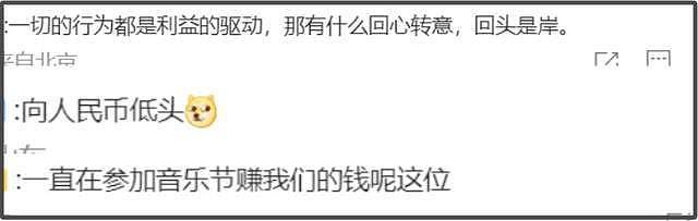 歌手安溥绣红旗引热议！玩文字游戏网友不买账，被质疑只为捞金（组图） - 18