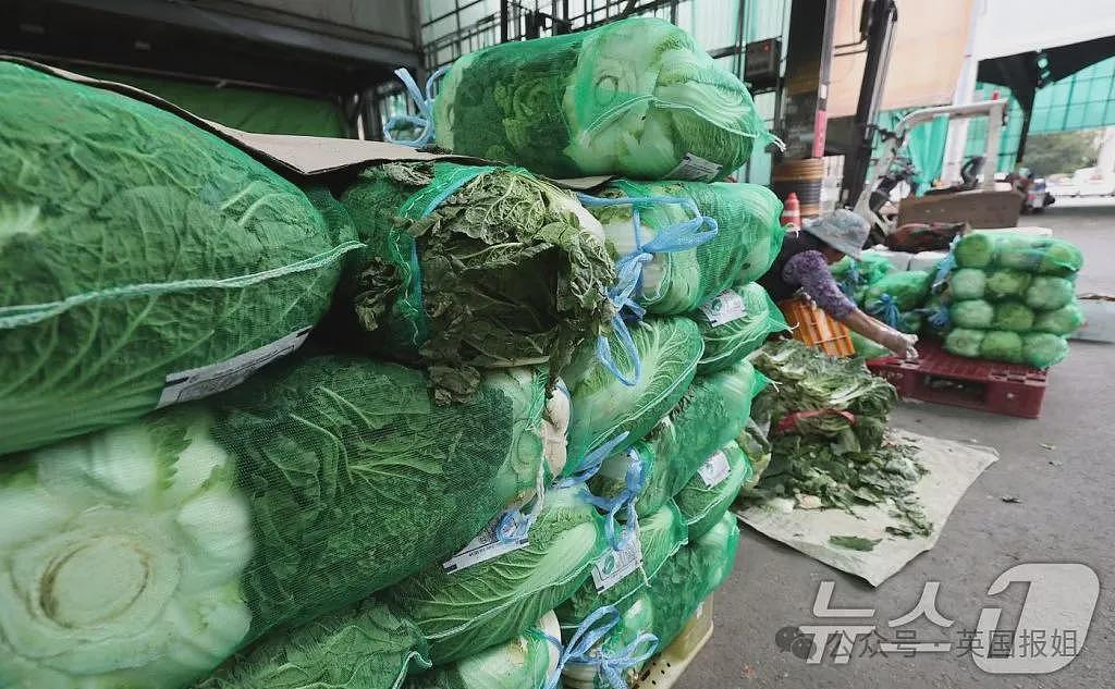 韩国泡菜价暴涨，紧急进口中国大白菜！营养不良人数翻2倍，儿童吃零食进补、主妇在家沤肥种地（组图） - 18