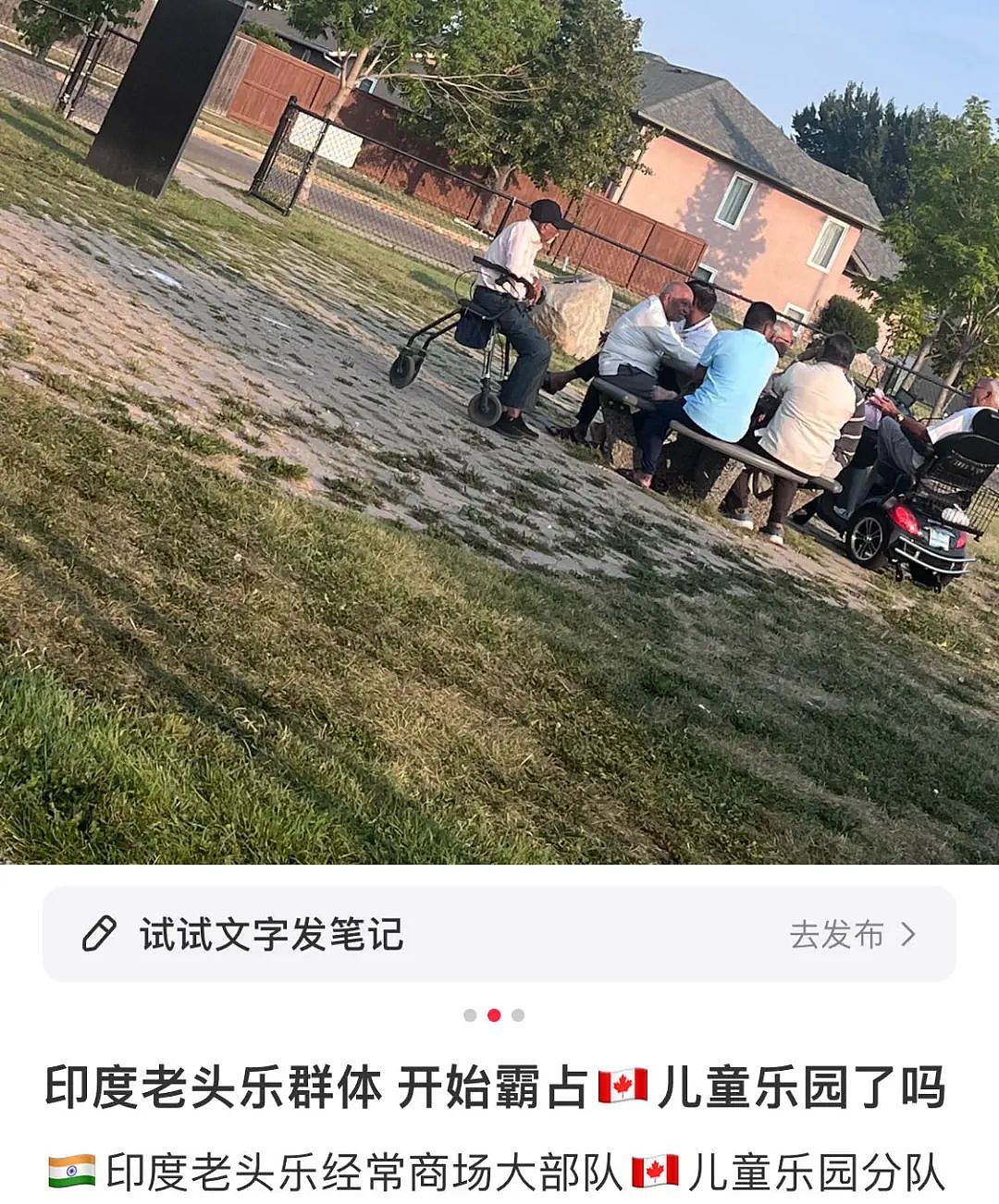 华人“新西兰第三大族裔”地位不保！“未来将有更多印度人和华人通婚”（组图） - 12