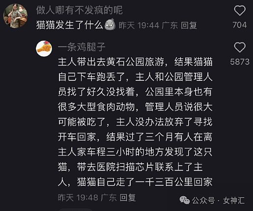 【爆笑】男朋友花4500送我YSL的塑料手镯？网友：印个YSL值4500元（组图） - 28