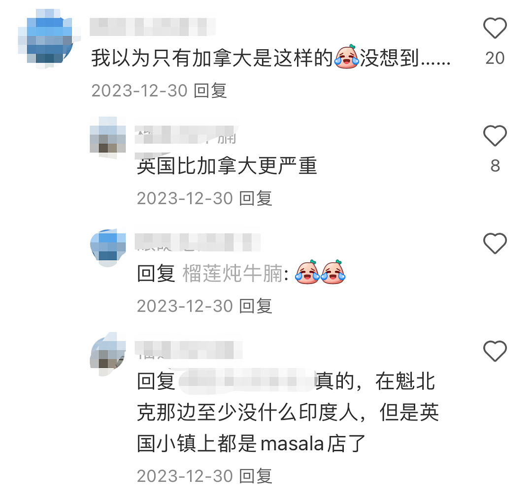 华人“新西兰第三大族裔”地位不保！“未来将有更多印度人和华人通婚”（组图） - 14