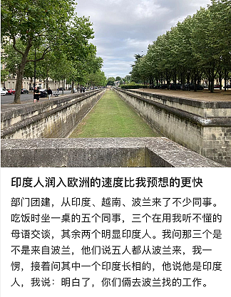 华人“新西兰第三大族裔”地位不保！“未来将有更多印度人和华人通婚”（组图） - 15