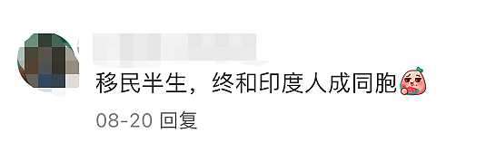 华人“新西兰第三大族裔”地位不保！“未来将有更多印度人和华人通婚”（组图） - 25