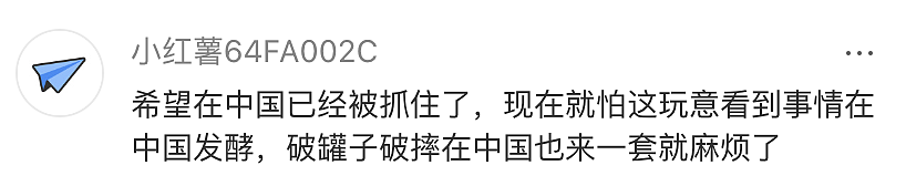 澳洲9个月大婴儿差点被咖啡烫死，瑞士3名幼儿园孩子被砍伤...嫌犯都是中国籍留学生引发热议（组图） - 14