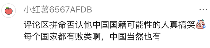 澳洲9个月大婴儿差点被咖啡烫死，瑞士3名幼儿园孩子被砍伤...嫌犯都是中国籍留学生引发热议（组图） - 11