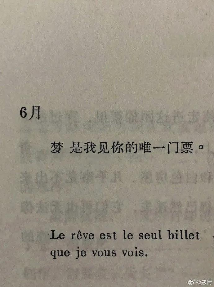 【爆笑】“日入250万元，还不用说话的工作？”网友夺笋：现实版穿越千年？（组图） - 27