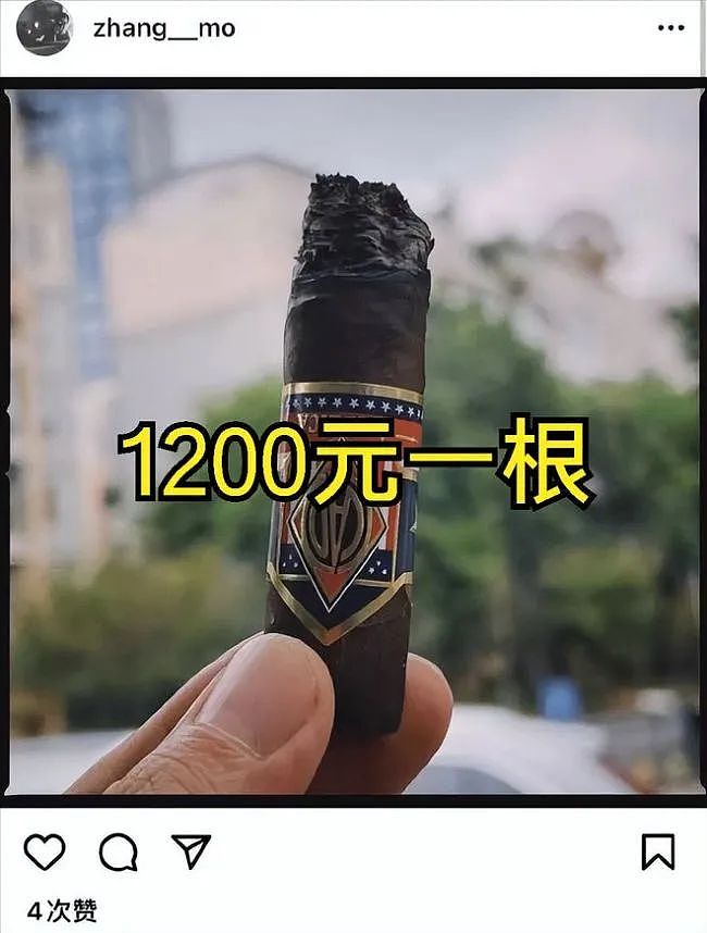 张国立儿子高调炫富！42岁泰国躺平，挥金如土！“花样作死”，他为何混成这样？（组图） - 2