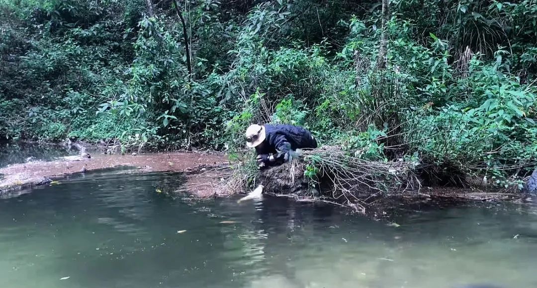 云南哀牢山突然“爆火”，大批游客涌入！未开发区域不要深入！当地村民：不该去的地方不要去（组图） - 1