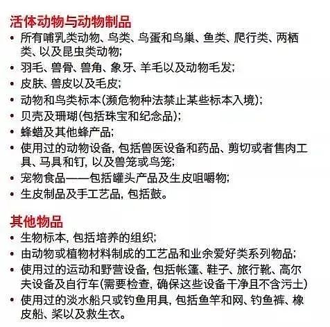 太丢人！中国大妈大闹澳洲海关，一哭二闹三上吊！还有人带大量现金闯关，把海关都看傻了...（组图） - 52