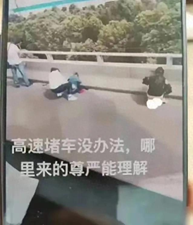 辣眼睛！女子在高速公路上就地小便，网友：这算光明正大抗议吗？（组图） - 1