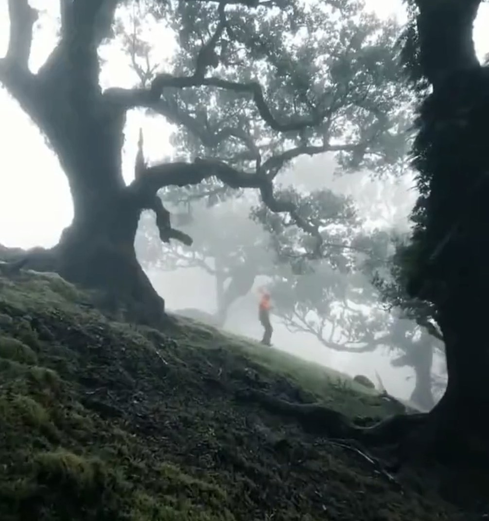 游客涌云南“禁区”哀牢山，专家：磁场强度异常使指南针失灵（组图） - 7