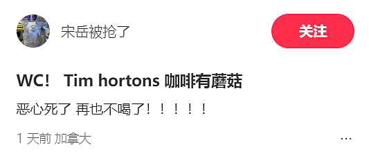 恶心吐了！华人喝Tim Hortons杯底惊现“养生猛料”！印度经理遭全网围剿（组图） - 1