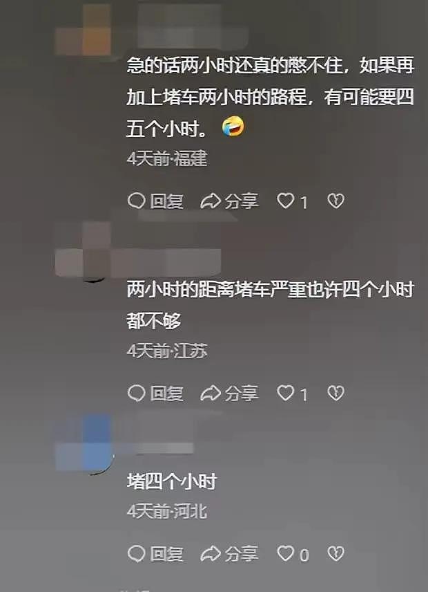 辣眼睛！女子在高速公路上就地小便，网友：这算光明正大抗议吗？（组图） - 4