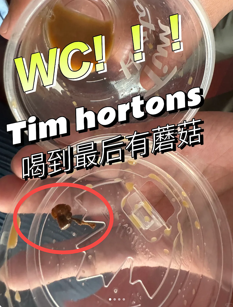 恶心吐了！华人喝Tim Hortons杯底惊现“养生猛料”！印度经理遭全网围剿（组图） - 2