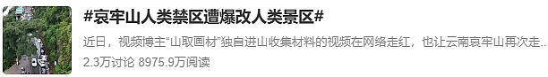 别去！哀牢山最诡异的一幕出现了，根本不是跟在颜料师身后的熊…（组图） - 4