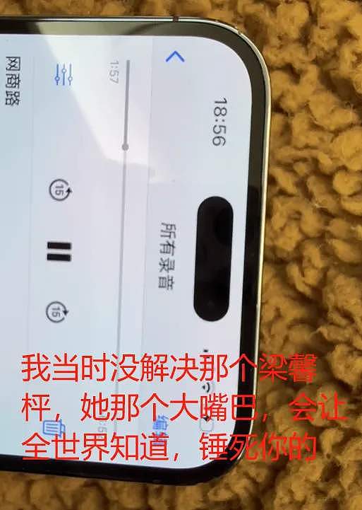 覃海洋出轨风波升级！未婚妻晒男方承认嫖娼录音，聊天截图内容不堪入目（视频/组图） - 11