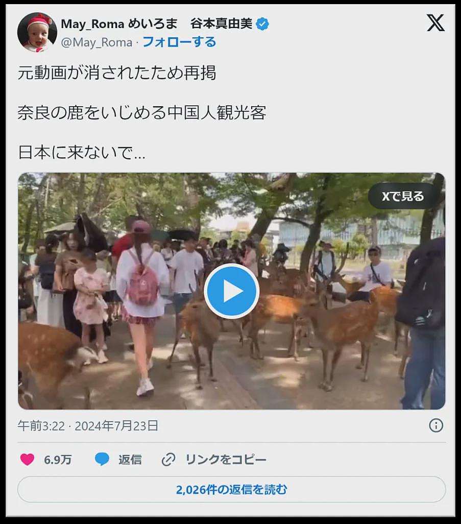 日本网红疯狂碰瓷中国游客？本人过往经历和背后利益链爆出网友懂了（视频/组图） - 5