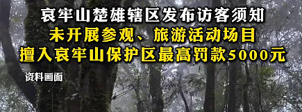 别去！哀牢山最诡异的一幕出现了，根本不是跟在颜料师身后的熊…（组图） - 6