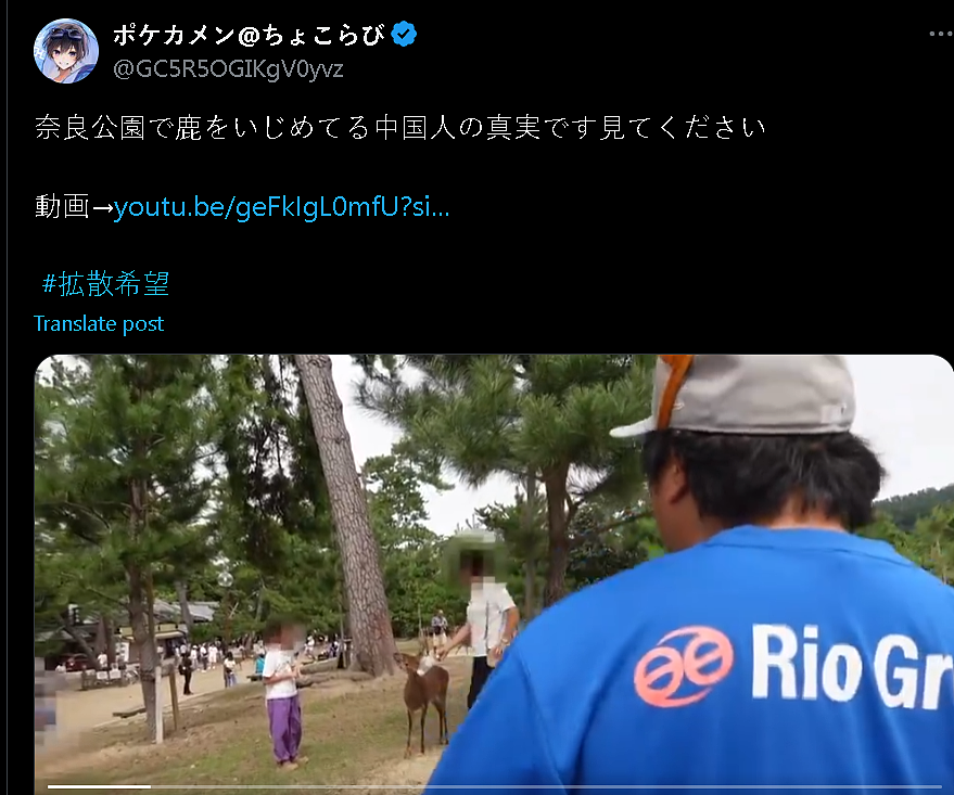 日本网红疯狂碰瓷中国游客？本人过往经历和背后利益链爆出网友懂了（视频/组图） - 8