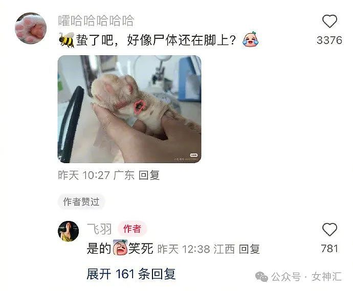 【爆笑】一边是男朋友，一边是月入3万的工作？我该怎么选？网友夺笋：什么男人值3万？（组图） - 29